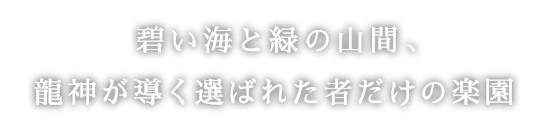 沖縄を体験する。